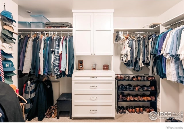 4993 Clubhouse Ct, Boulder, CO 80301 - spacious closet with carpet flooring