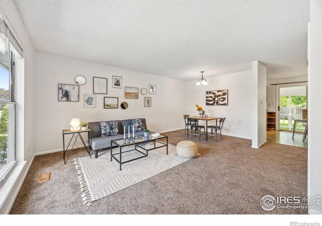2525 Antelope Rd, Fort Collins, CO 80525 - photo 4