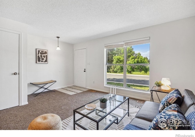 2525 Antelope Rd, Fort Collins, CO 80525 - photo 5