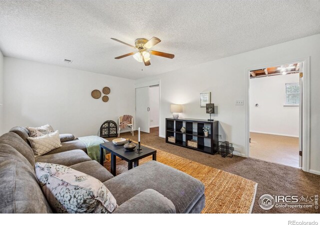 2525 Antelope Rd, Fort Collins, CO 80525 - photo 17