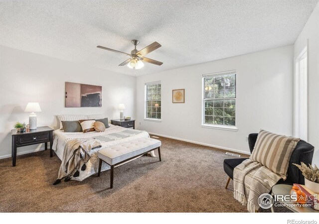 2525 Antelope Rd, Fort Collins, CO 80525 - photo 18