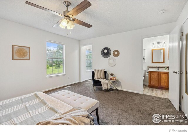 2525 Antelope Rd, Fort Collins, CO 80525 - photo 19