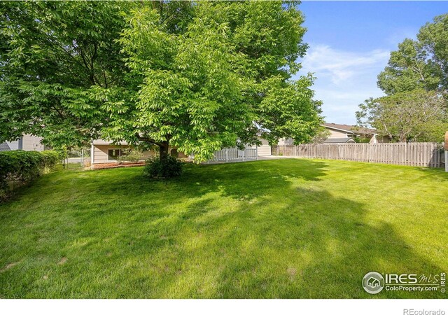 2525 Antelope Rd, Fort Collins, CO 80525 - photo 33