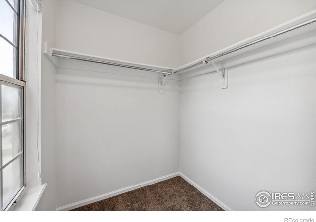 2525 Antelope Rd, Fort Collins, CO 80525 - photo 21