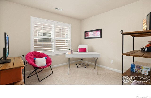 5614 Coppervein St, Fort Collins, CO 80528 - photo 22