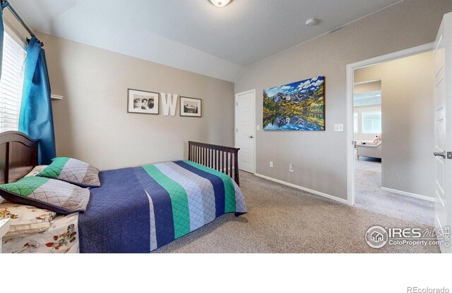 2138 Blue Yonder Way, Fort Collins, CO 80525 - photo 20