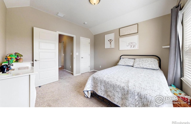 2138 Blue Yonder Way, Fort Collins, CO 80525 - photo 21