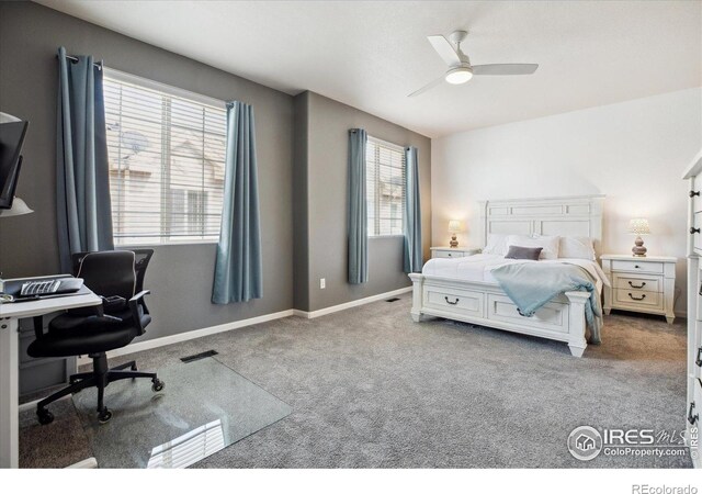 16031 W 63rd Ln W Unit D, Arvada, CO 80403 - bedroom with carpet, a desk, multiple windows, and baseboards