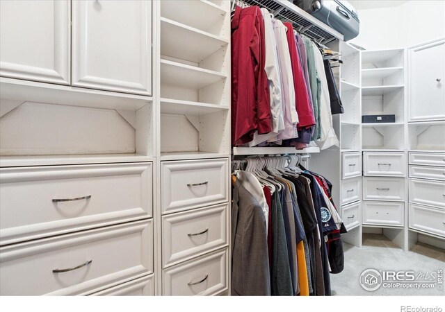 16031 W 63rd Ln W Unit D, Arvada, CO 80403 - walk in closet featuring carpet floors