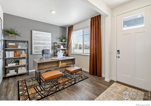 6475 Ankina Dr, Windsor, CO 80528 - photo 8