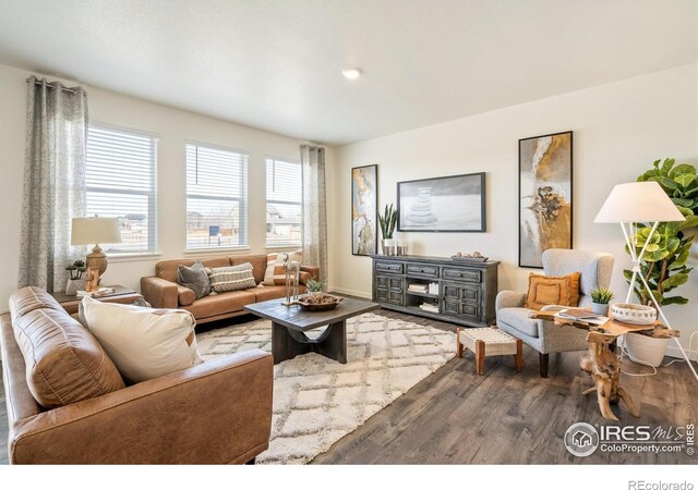 6475 Ankina Dr, Windsor, CO 80528 - photo 9