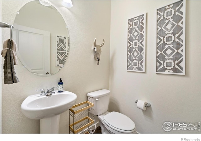 6475 Ankina Dr, Windsor, CO 80528 - photo 22