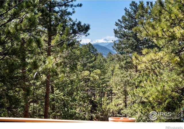 23 Hess Ave, Golden, CO 80401 - photo 13