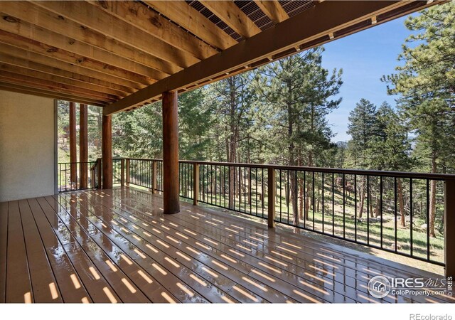 23 Hess Ave, Golden, CO 80401 - photo 33