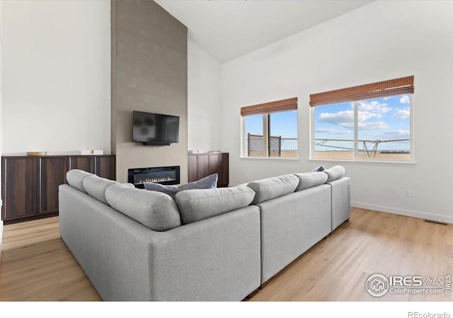 1718 101st Avenue Ct, Greeley, CO 80634 - living room featuring light wood-style flooring, a glass covered fireplace, and baseboards