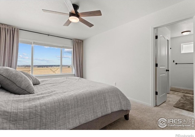 1718 101st Avenue Ct, Greeley, CO 80634 - carpeted bedroom with baseboards and a ceiling fan