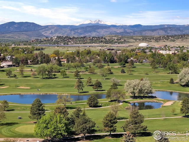 957 Logan Ct, Loveland, CO 80538 - photo 31