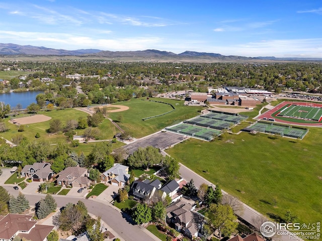 957 Logan Ct, Loveland, CO 80538 - photo 32
