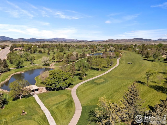 957 Logan Ct, Loveland, CO 80538 - photo 39