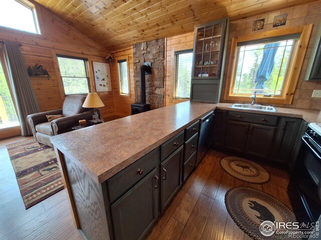 56 Pamlico Ct, Red Feather Lakes, CO 80545 - kitchen with a peninsula, a wood stove, plenty of natural light, dishwasher, and vaulted ceiling