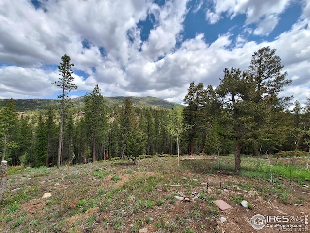 56 Pamlico Ct, Red Feather Lakes, CO 80545 - mountain view with a heavily wooded area