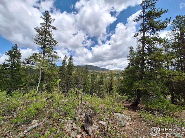 56 Pamlico Ct, Red Feather Lakes, CO 80545 - view of mountain background with a forest