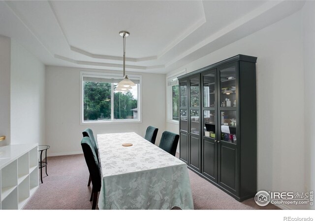 710 Inca Pkwy, Boulder, CO 80303 - photo 8