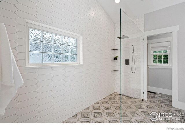 1926 Crested Butte Ct, Loveland, CO 80538 - bathroom featuring walk in shower