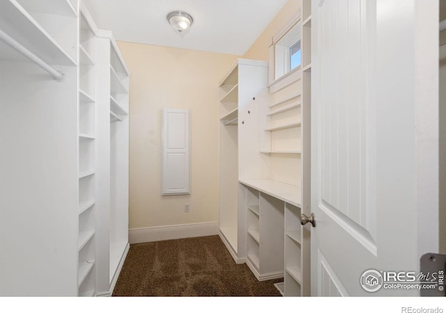 1926 Crested Butte Ct, Loveland, CO 80538 - walk in closet with dark carpet