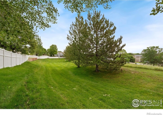 1926 Crested Butte Ct, Loveland, CO 80538 - view of yard