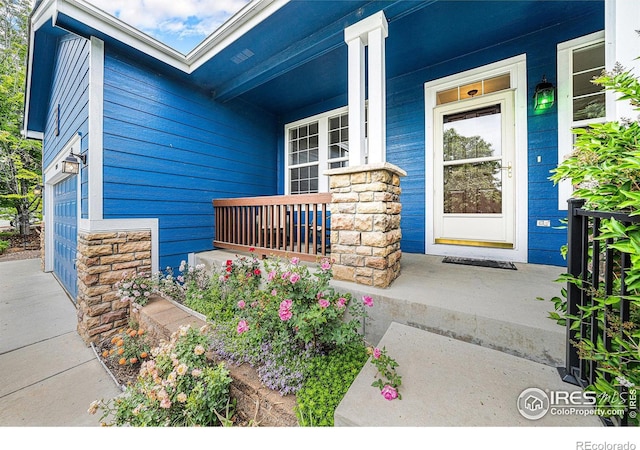 1874 Ute Creek Dr, Longmont, CO 80504 - doorway to property with a porch and stone siding