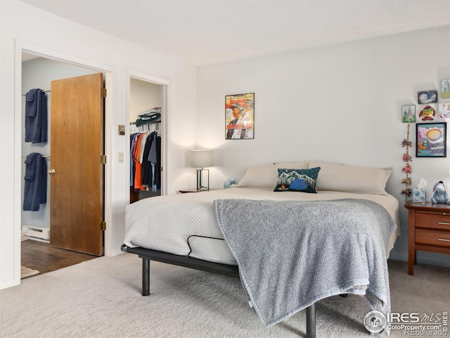 838 Vista Ln, Estes Park, CO 80517 - carpeted bedroom with a baseboard radiator, a closet, and a walk in closet