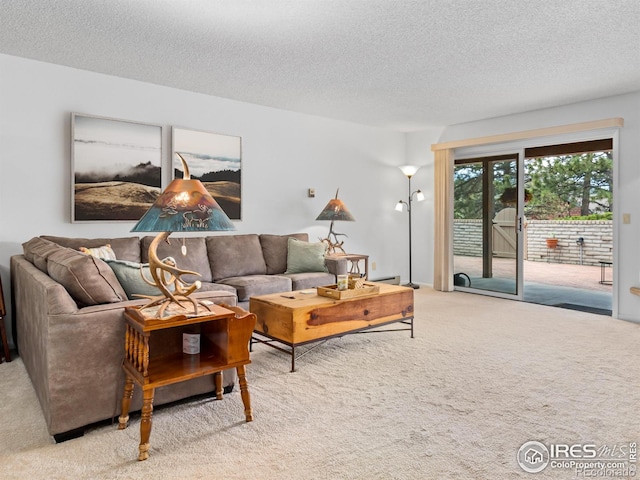 838 Vista Ln, Estes Park, CO 80517 - living room featuring carpet flooring and a textured ceiling