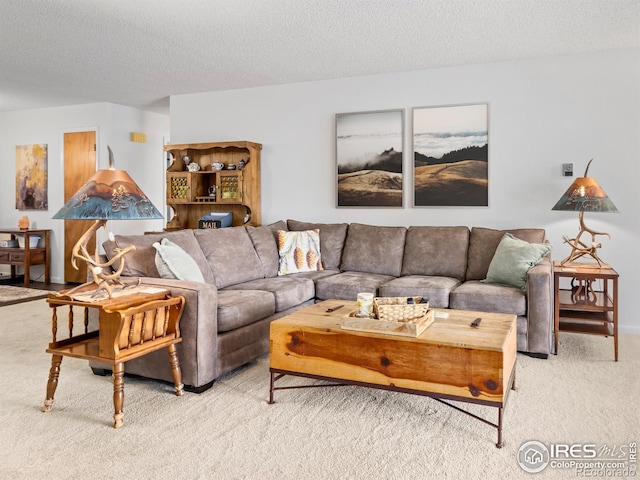 838 Vista Ln, Estes Park, CO 80517 - living area with light carpet and a textured ceiling
