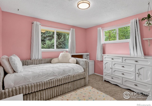 112 Dawson Pl, Longmont, CO 80504 - photo 18