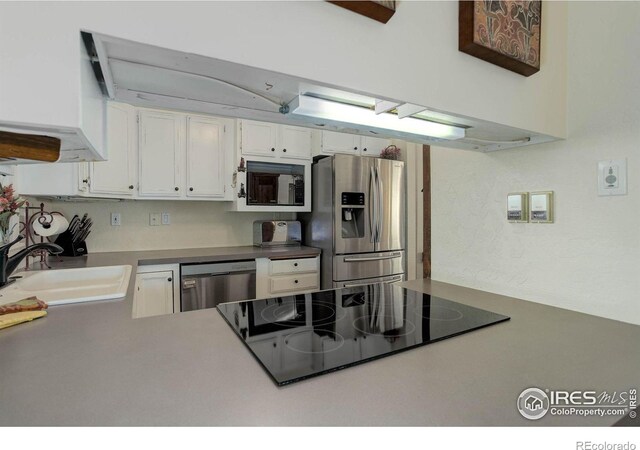 8586 N 55th St, Boulder, CO 80301 - photo 8