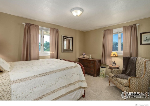 8586 N 55th St, Boulder, CO 80301 - photo 20