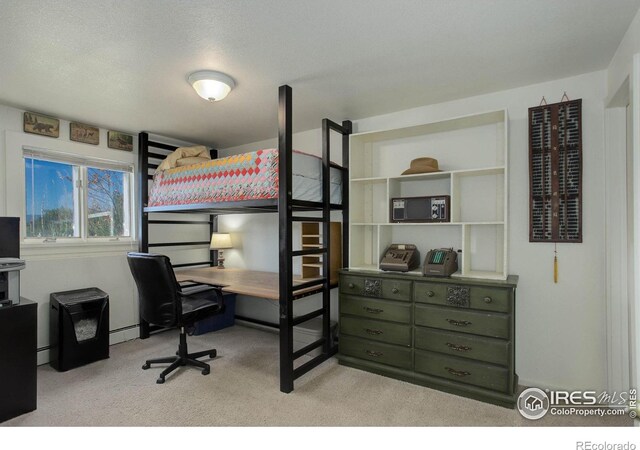 8586 N 55th St, Boulder, CO 80301 - photo 23