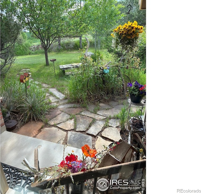 8586 N 55th St, Boulder, CO 80301 - photo 29