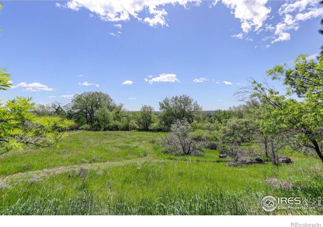 8586 N 55th St, Boulder, CO 80301 - photo 32