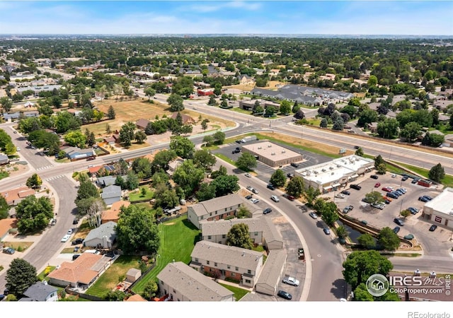 916 44th Avenue Ct Unit 25, Greeley, CO 80634 - photo 30