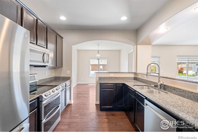 848 Shirttail Peak Dr, Windsor, CO 80550 - photo 11