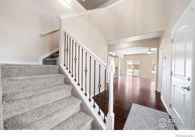 848 Shirttail Peak Dr, Windsor, CO 80550 - photo 16
