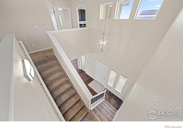 848 Shirttail Peak Dr, Windsor, CO 80550 - photo 17
