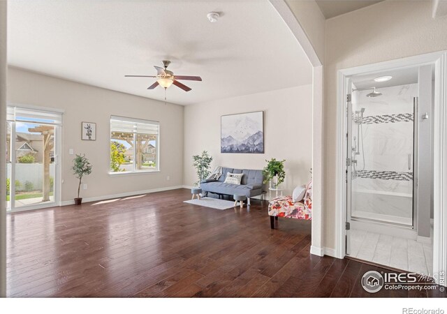848 Shirttail Peak Dr, Windsor, CO 80550 - photo 4
