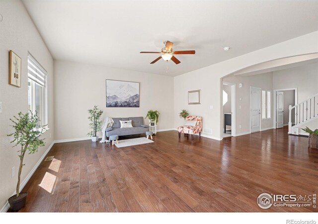 848 Shirttail Peak Dr, Windsor, CO 80550 - photo 5
