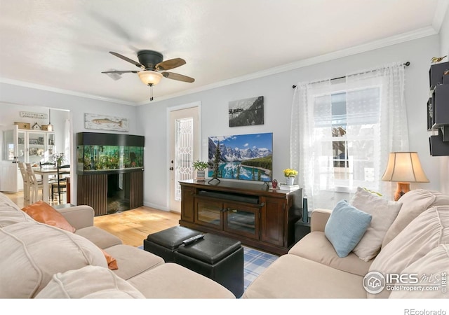103 W Main Ave, Pierce, CO 80650 - photo 8