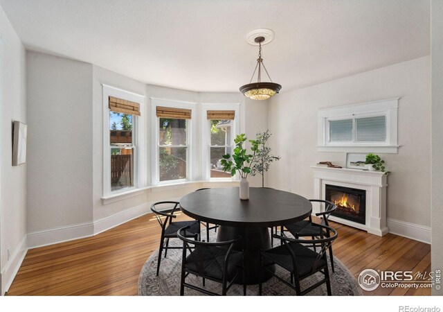 729 Peterson St, Fort Collins, CO 80524 - dining space featuring baseboards, wood-type flooring, and healthy amount of natural light