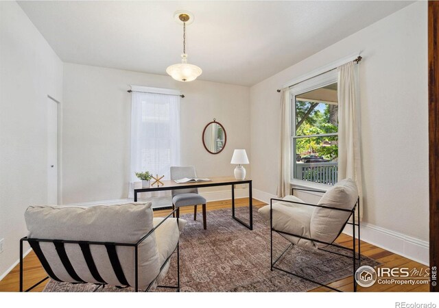 729 Peterson St, Fort Collins, CO 80524 - office space featuring wood finished floors and baseboards