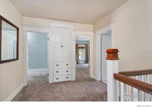 729 Peterson St, Fort Collins, CO 80524 - hallway featuring carpet flooring and baseboards